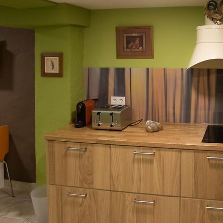 Amalur Etxea Guest House Echauri Luaran gambar