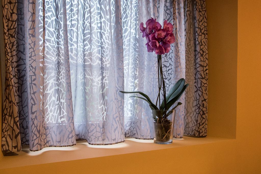 Amalur Etxea Guest House Echauri Luaran gambar